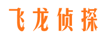 湘西市调查公司